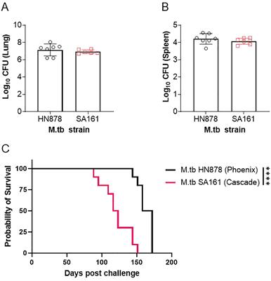 The chosen few: Mycobacterium tuberculosis isolates for IMPAc-TB